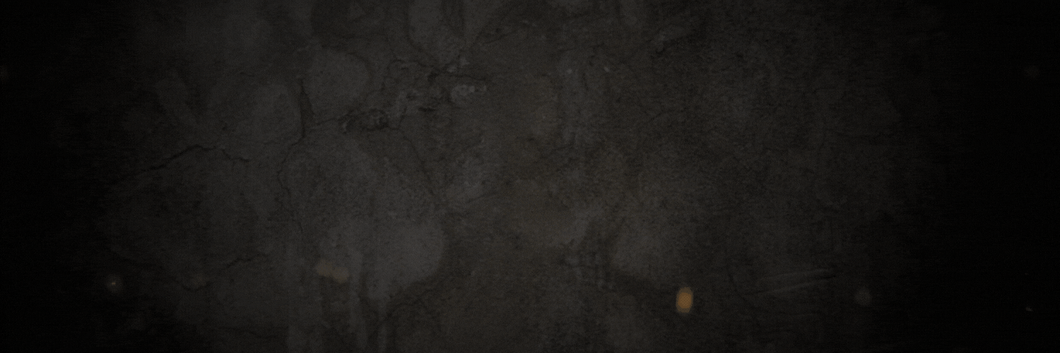 Premium Works Custom Vinyl Apparel, Tshirts, Large Wall Art and Custom Orders