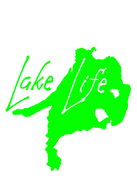 Lake Life Car Decal Badge - Car Stickers - Car Styling Vinyl Decal - Sizes up to 11 Inches