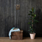 Judges 16 Samson Bible canvas displayed on dark wood wall above basket and plant