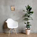 Matthew 11:28 Bible verse canvas displayed beside white chair and green plant