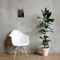 I Will Fear No Evil Christian canvas displayed small beside white chair and green plant