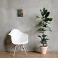 When You Pass Through the Waters Christian canvas displayed small beside white chair and green plant