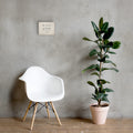 Psalm 46:10 Be Still and Know Christian canvas displayed in neutral room with chair and plant