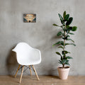 The Lord Shall Fight for You Christian canvas displayed beside white chair and green plant